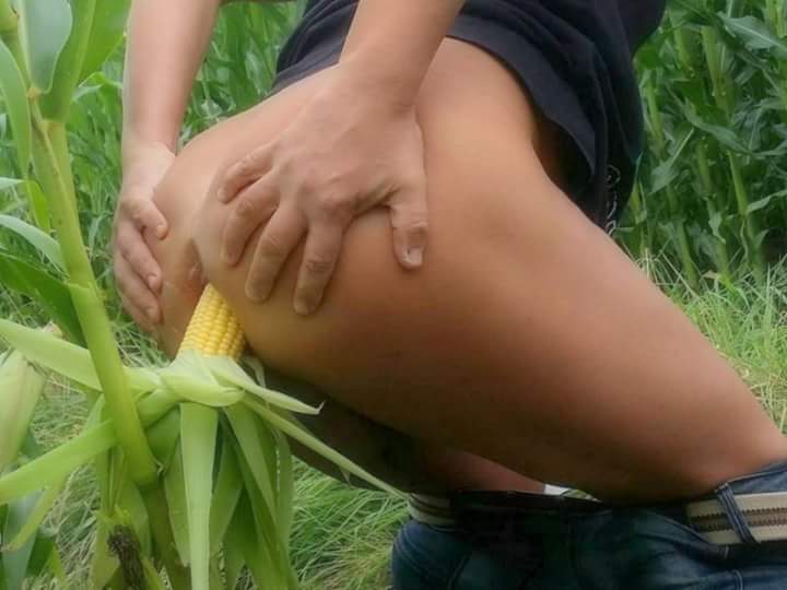 Porn On The Cob