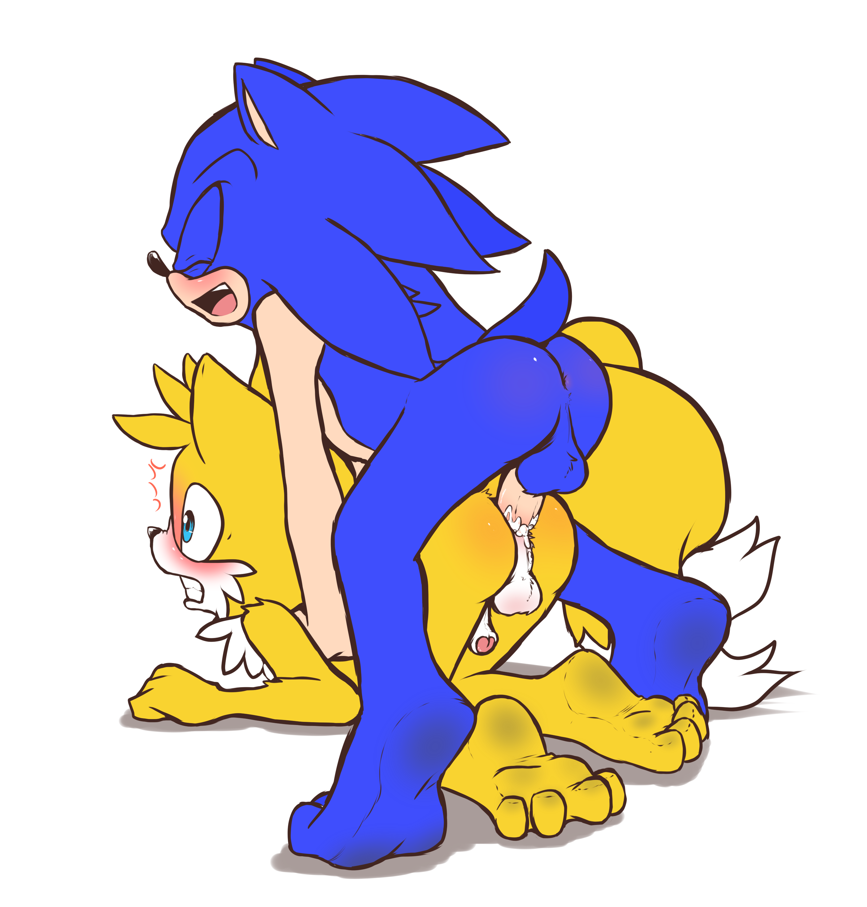 Sonic and tails xxx