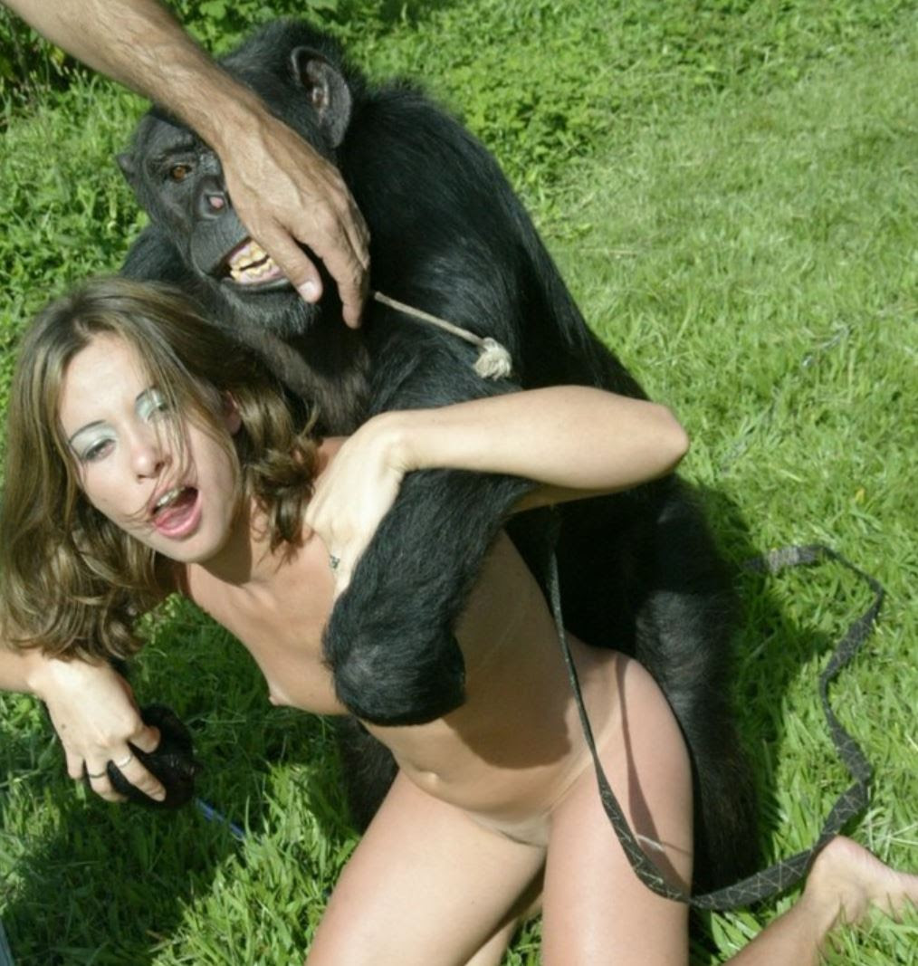 chimpanzees-fucking-jock-gets