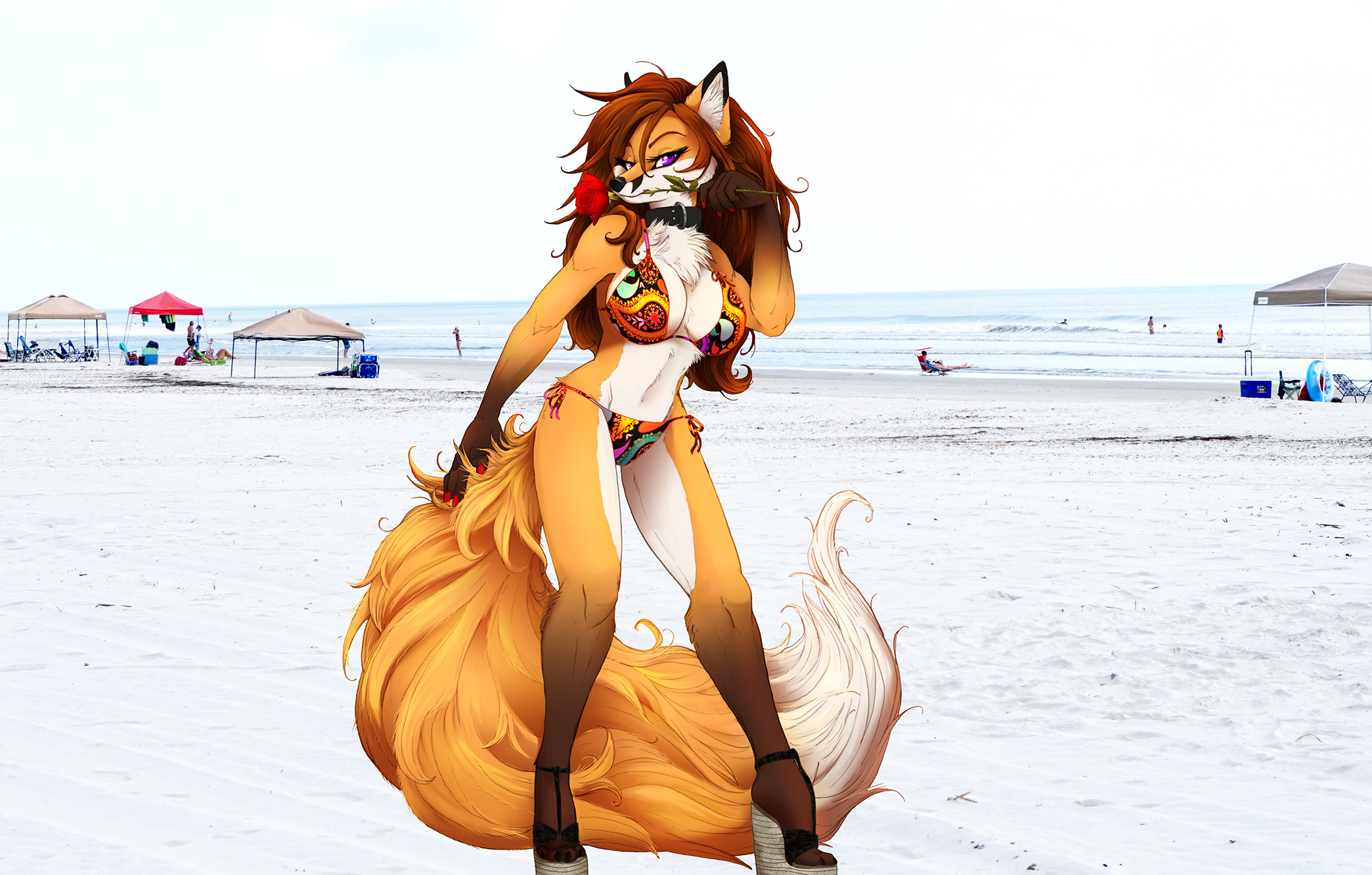 Лиса на пляже
