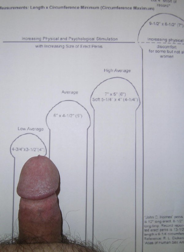 New Penis Size Survey