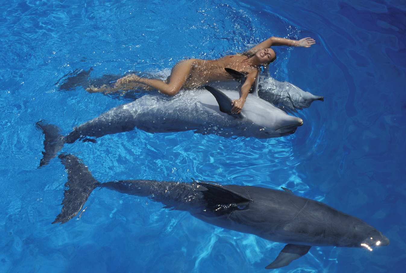 член дельфина в девушке фото 108