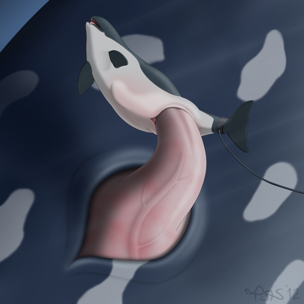 сколько длится оргазм у дельфинов фото 91