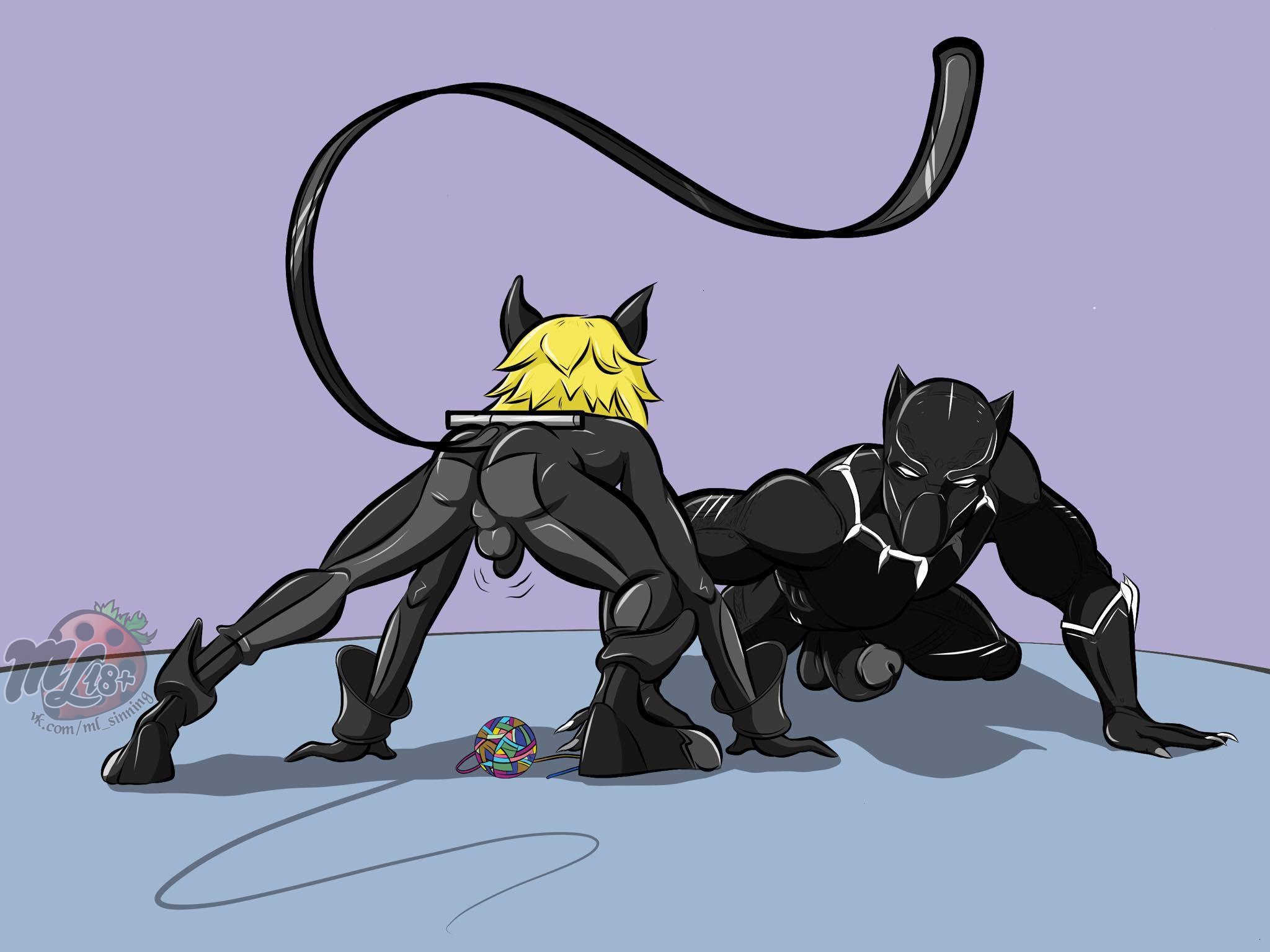 2643171 - Black_Panther Cat_Noir Marvel Miraculous_Ladybug T'Challa ta...