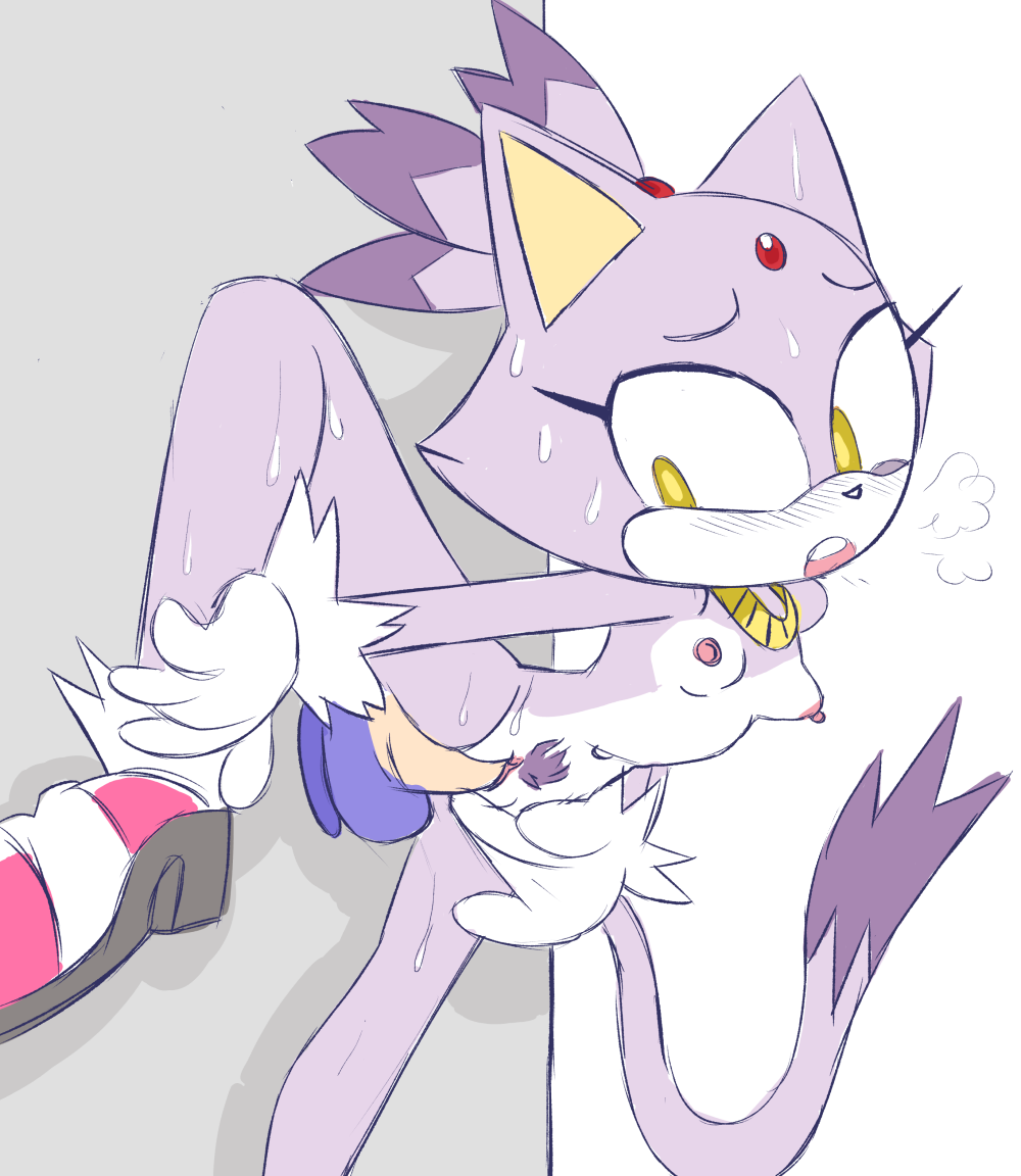 207214720-20Blaze_the_Cat20Sonic_Team20Sonic_The_Hedgehog20wispowillo.png.