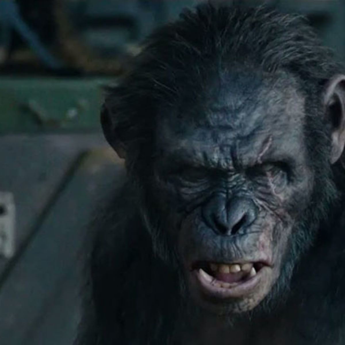 Bo noes. Koba Planet of the Apes. Koba.