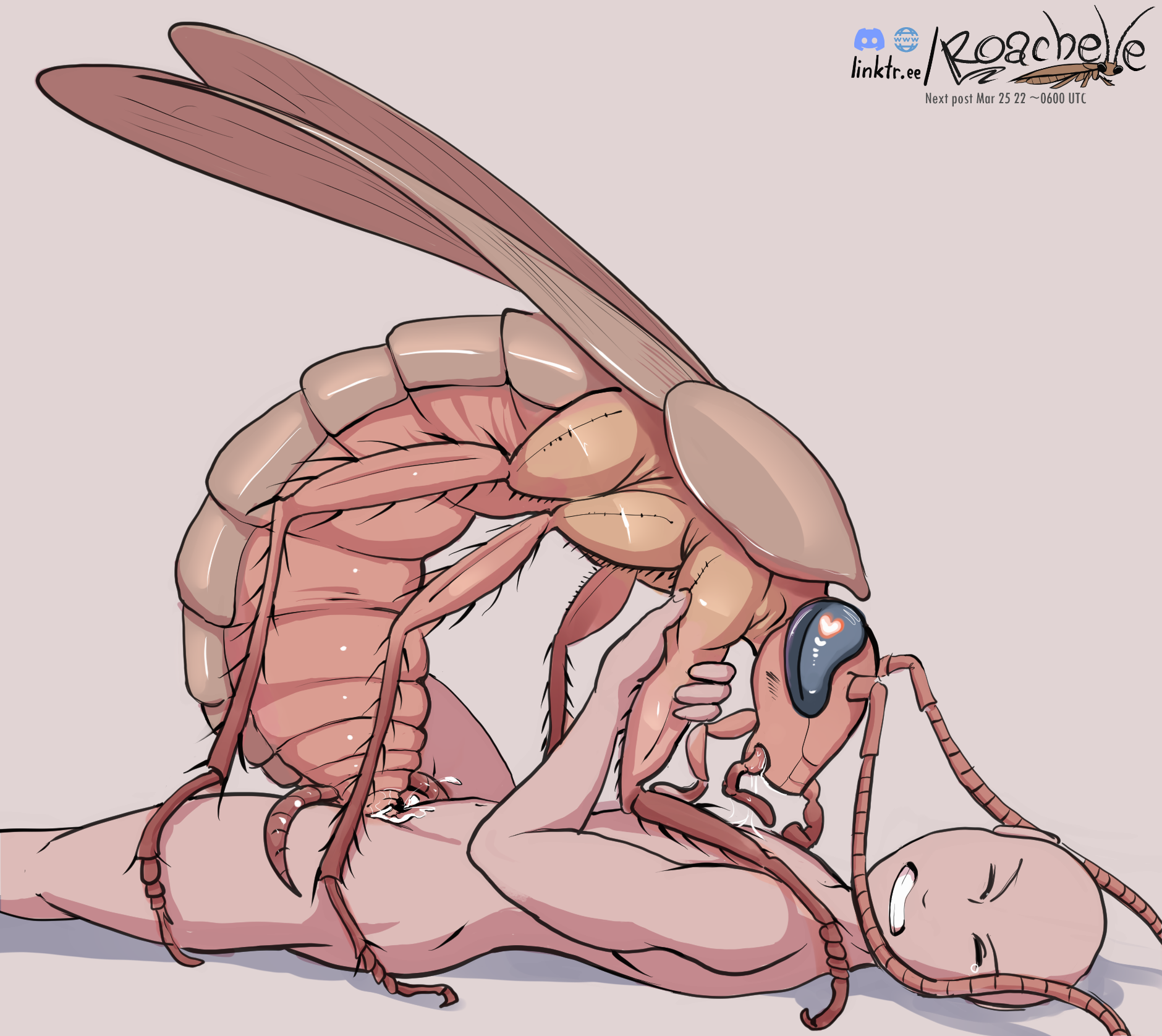 Insect rule 34