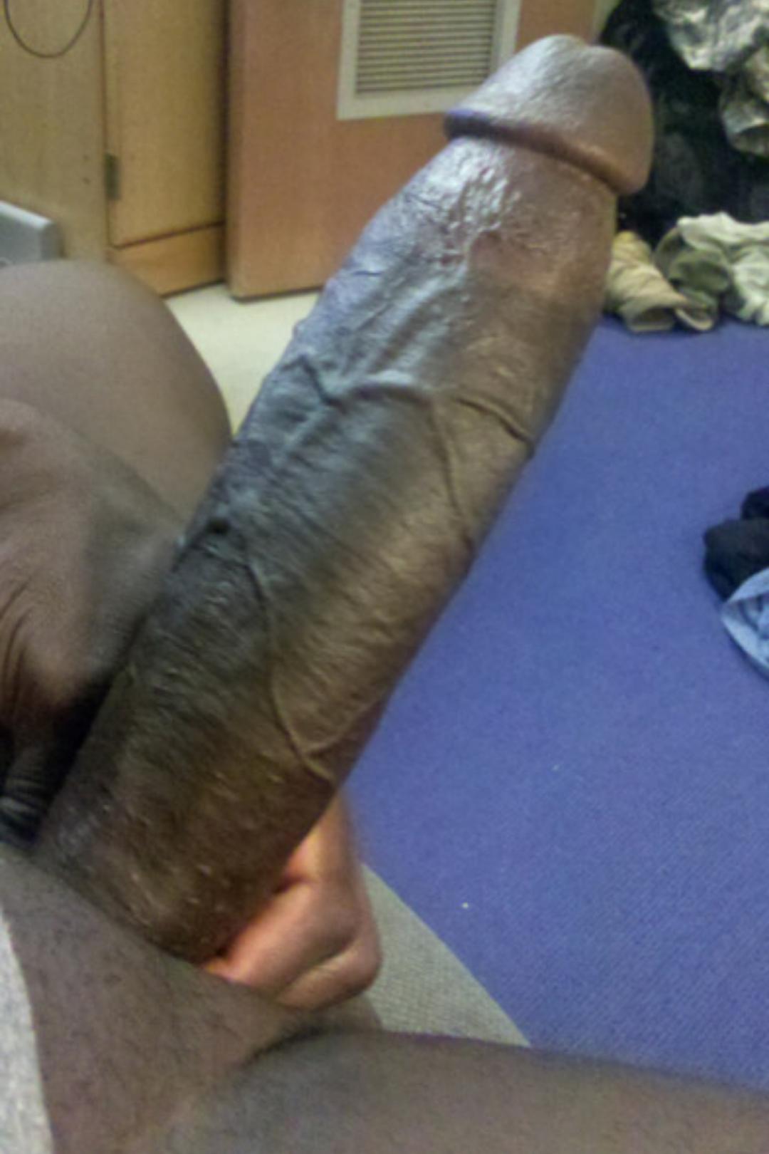 Hard Black Cock Pictures