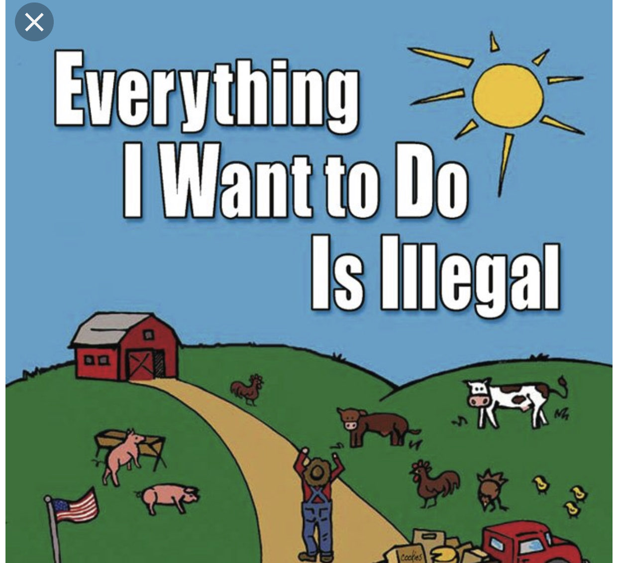 Everything i wanted speed up. Everything картинка. Иконка everything. Everything i want to do is illegal. Everything i wanted обложка.